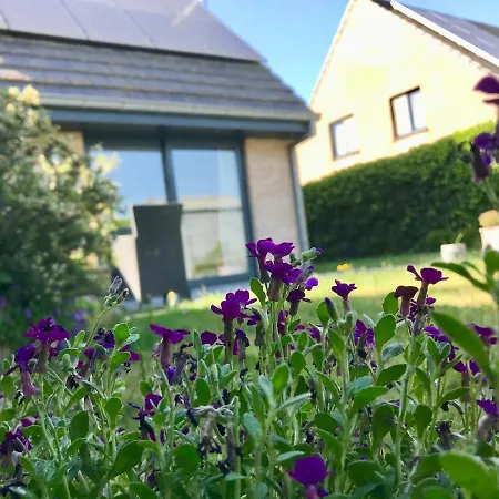 Ter Zwaanhoek Holiday home *