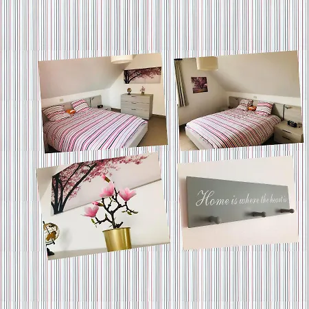 Ter Zwaanhoek Holiday home *