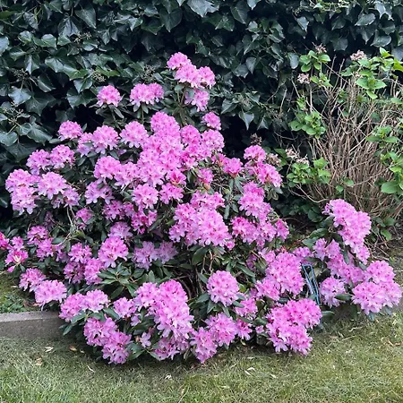 Vakantiehuis Ter Zwaanhoek *