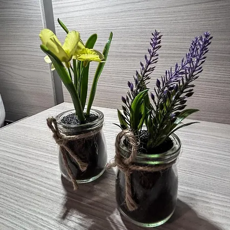 Vakantiehuis Ter Zwaanhoek